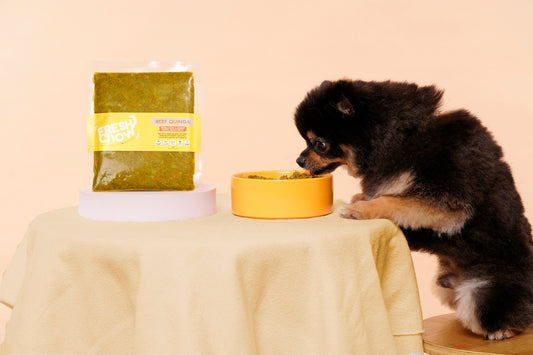 Benefits of Fresh Dog Food